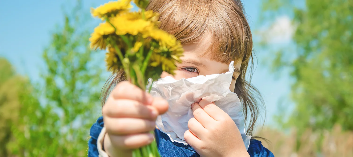 Purificatore Aria contro Allergie: Guida ViruStop Air